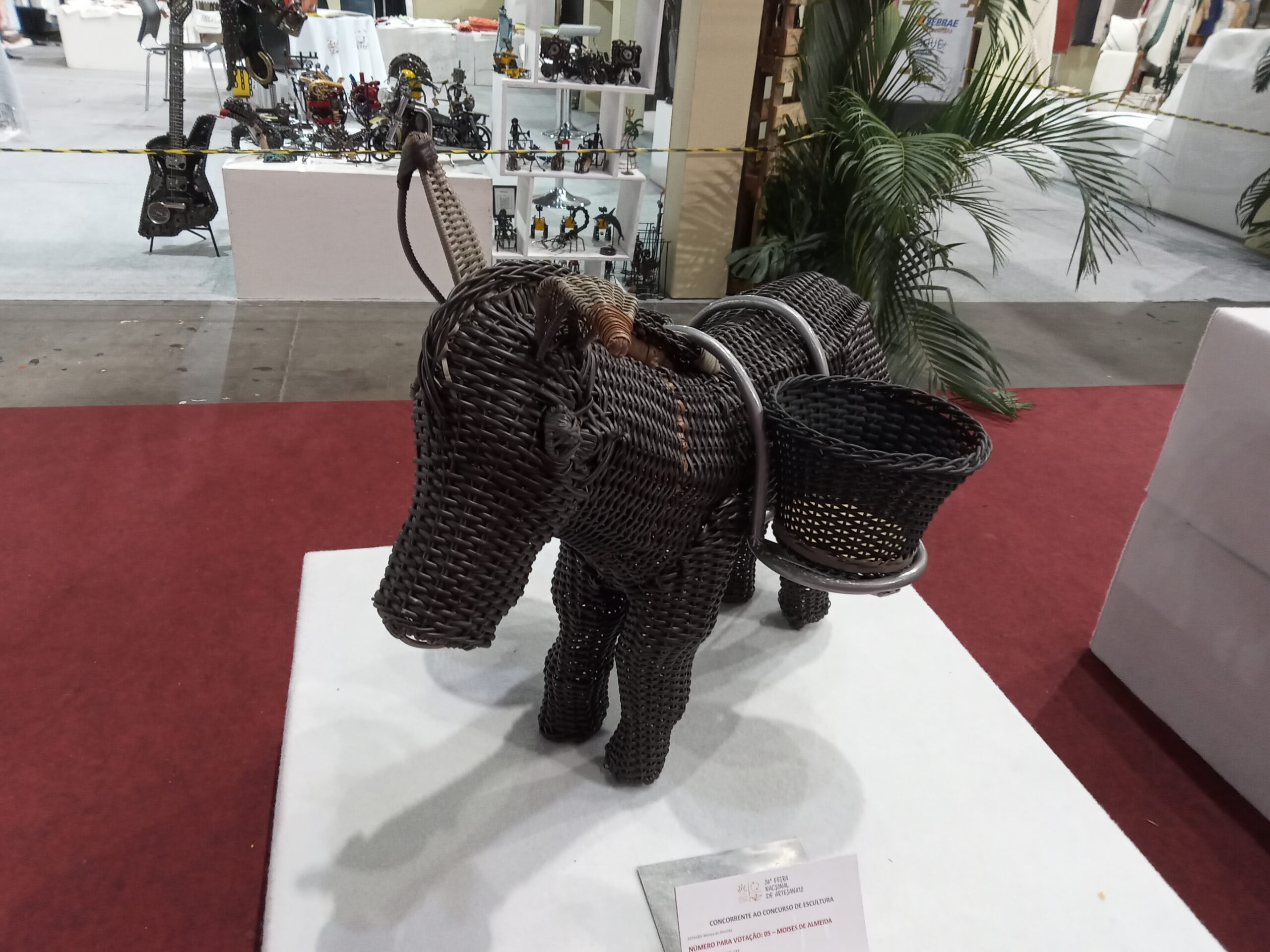 burrinho artes teias