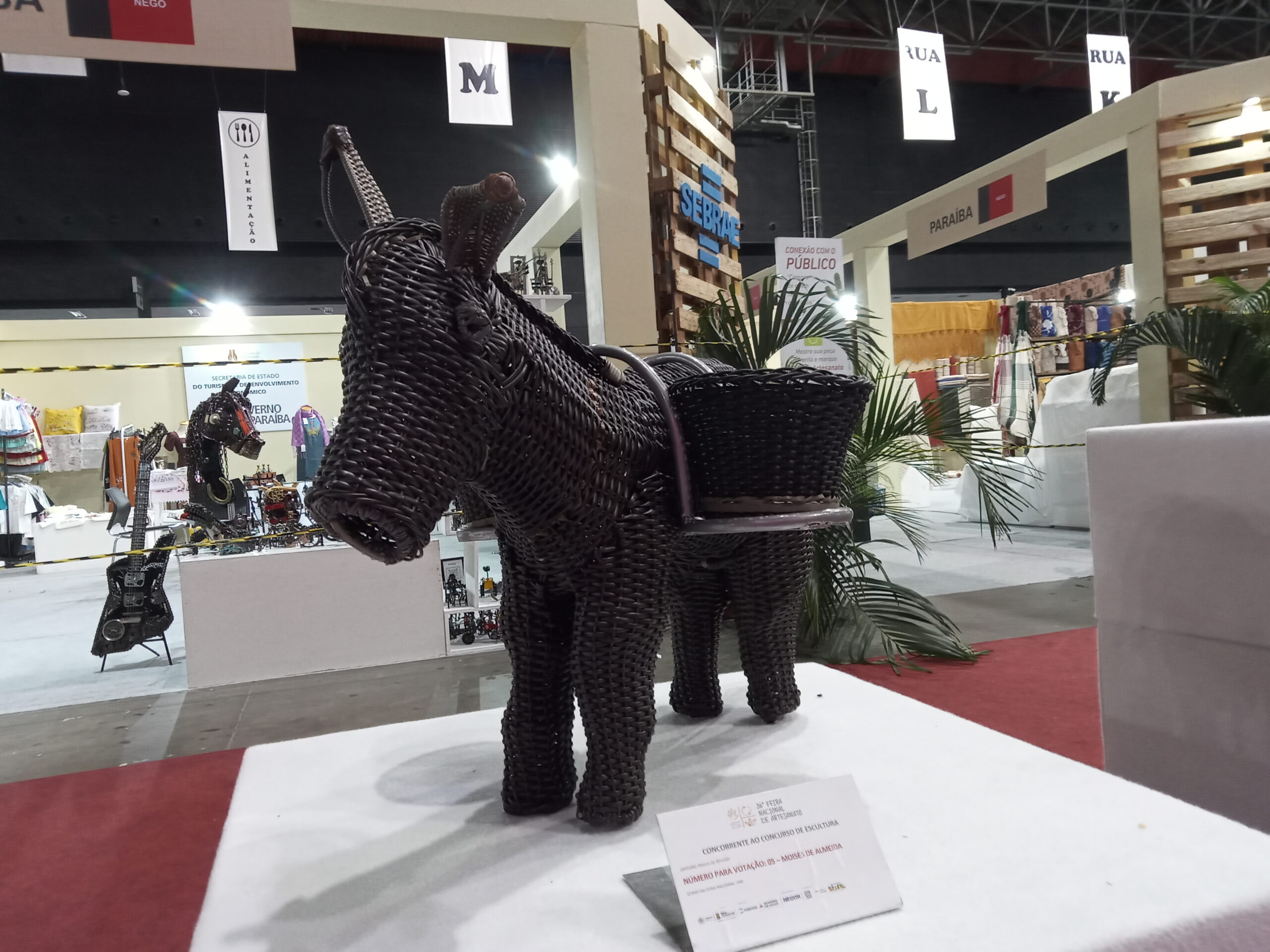 burrinho artes teias